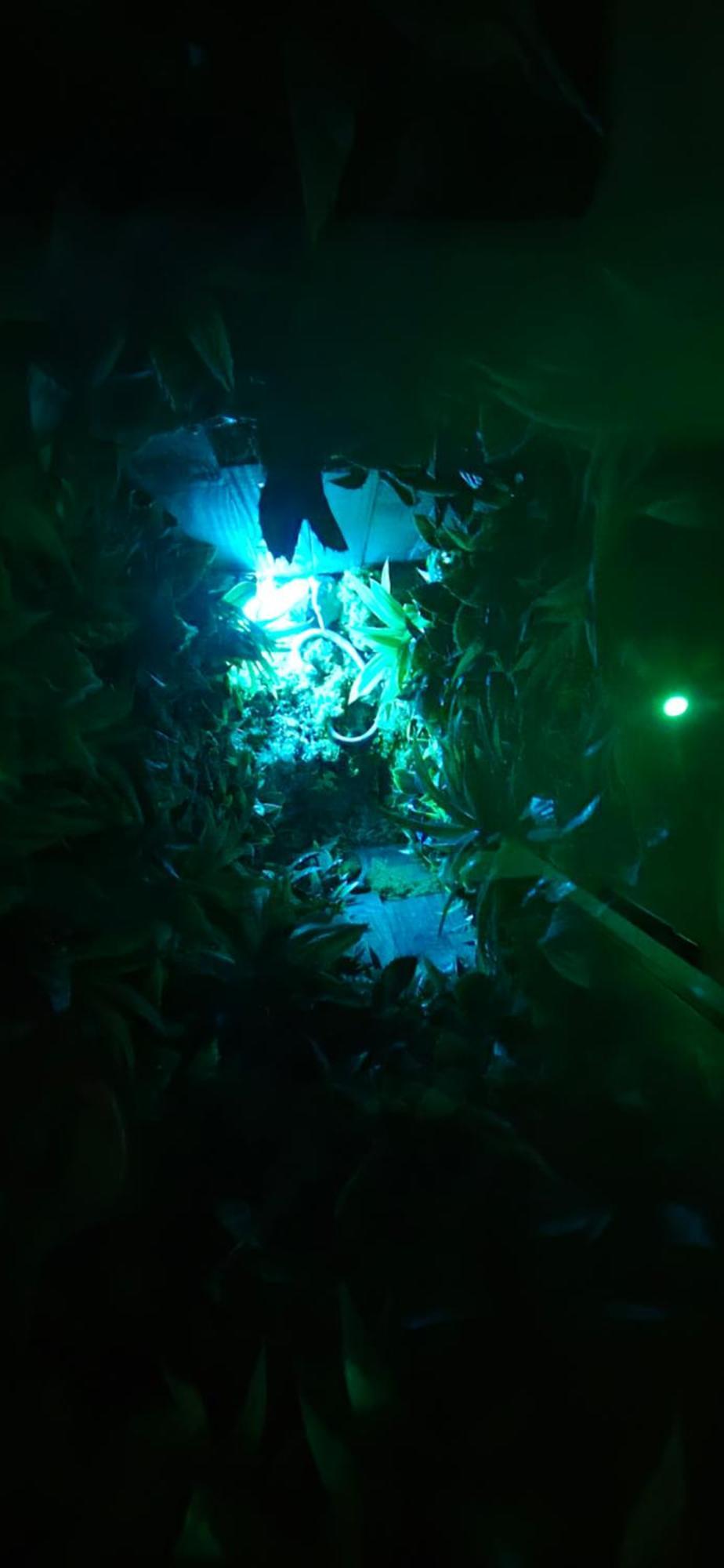 La Jungle Room Rognac Exterior foto
